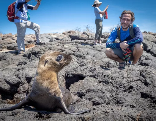 Guests Sea Lion on Rocks