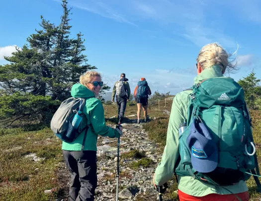 Group of people with walking poles, ascending a rocky trail