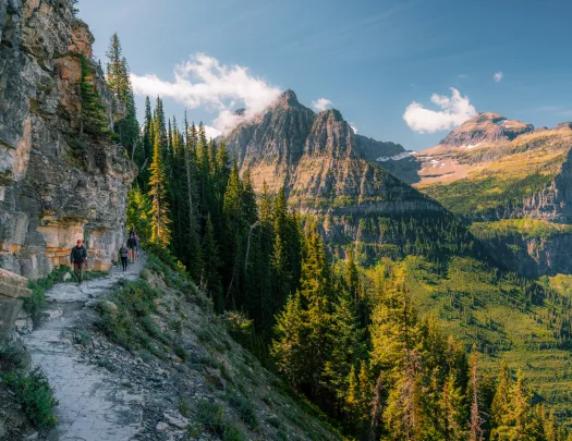 Hikers on a gravel trail with tall pine trees along tall mountains