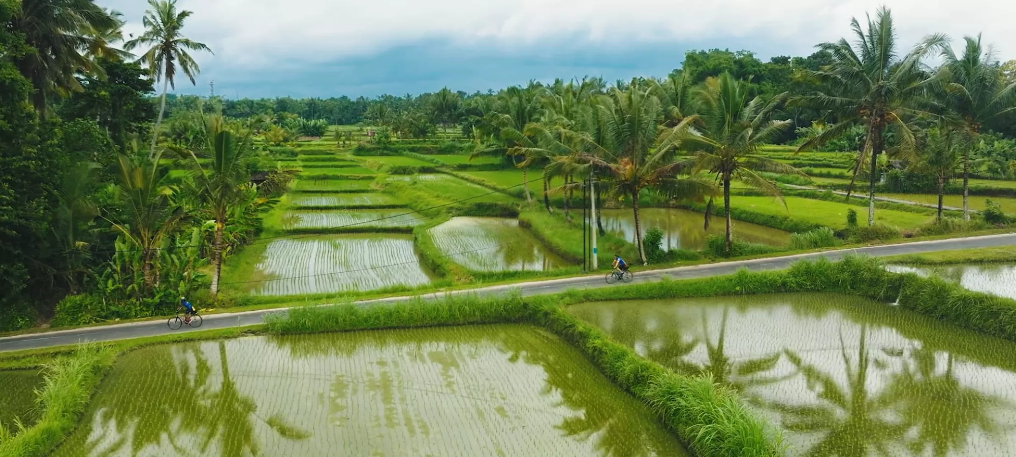 Bali Biking