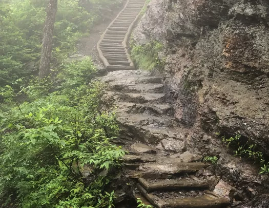 Shot of foggy stone and wood staircase in forest.