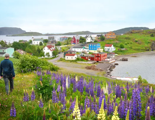Guest walking in grassy meadow towards colorful village.