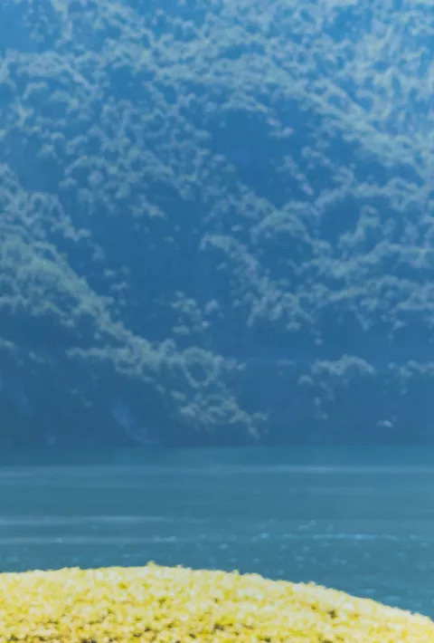 Women standing on a balcony looking over a lake