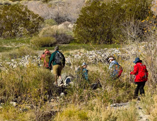 Guests hiking in desert, snowy mountain far in background.
