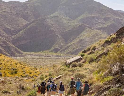 Guests hiking in desert valley, blue sky and mountain in background.
