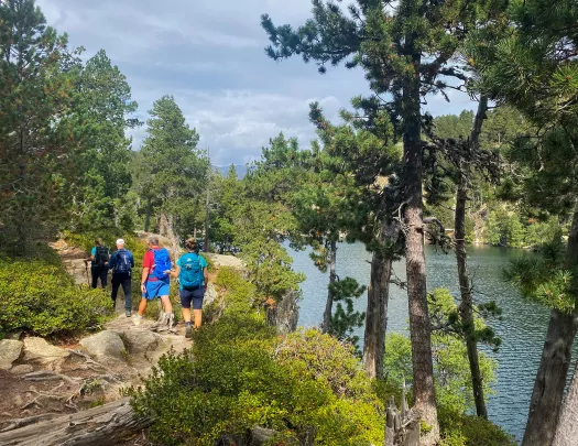 Four guests on riverside trail, trees all around.