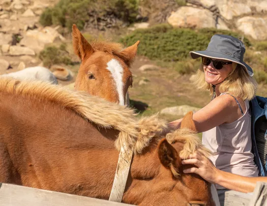 Woman in the middle of a valley, petting two horses