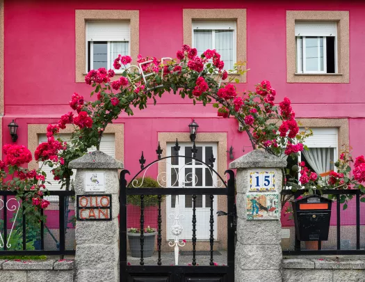 Housefront shot of bright pink building, flower arch, metal fence.
