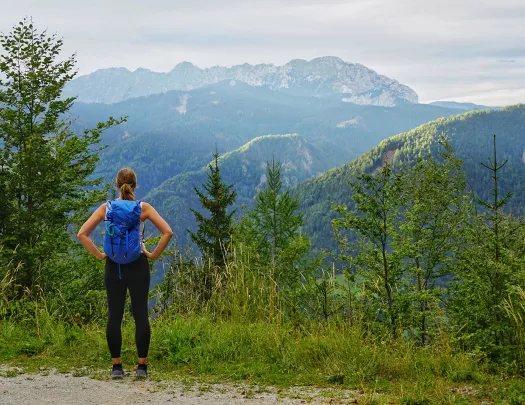 A hiker looks over a view of blue mountains and green trees