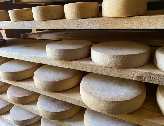 Swiss cheese aging room.