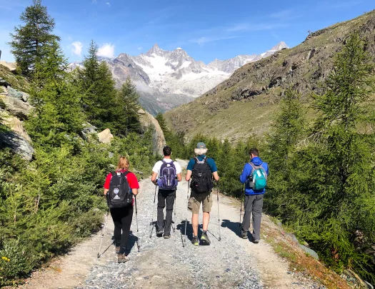 Four guests on gravel trail, trees, mountains in distance. 