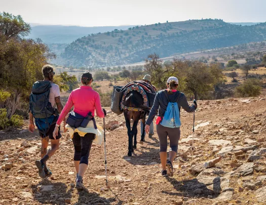 3 women hiking