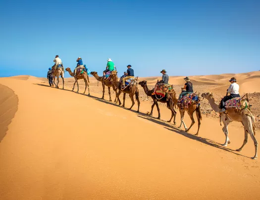 Row of travelers on dromedaries walking along sand dune
