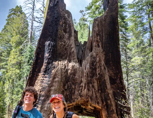 Guests pose with a large tree