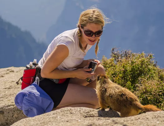 Hiker meeting a groundhog.