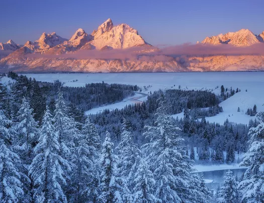 Snowy landscape with snow covered trees and orange sunset