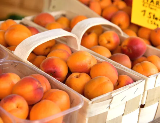 Fresh apricots in baskets at a market.